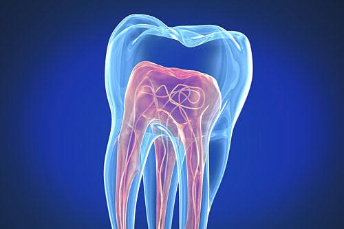 Endodontics link
